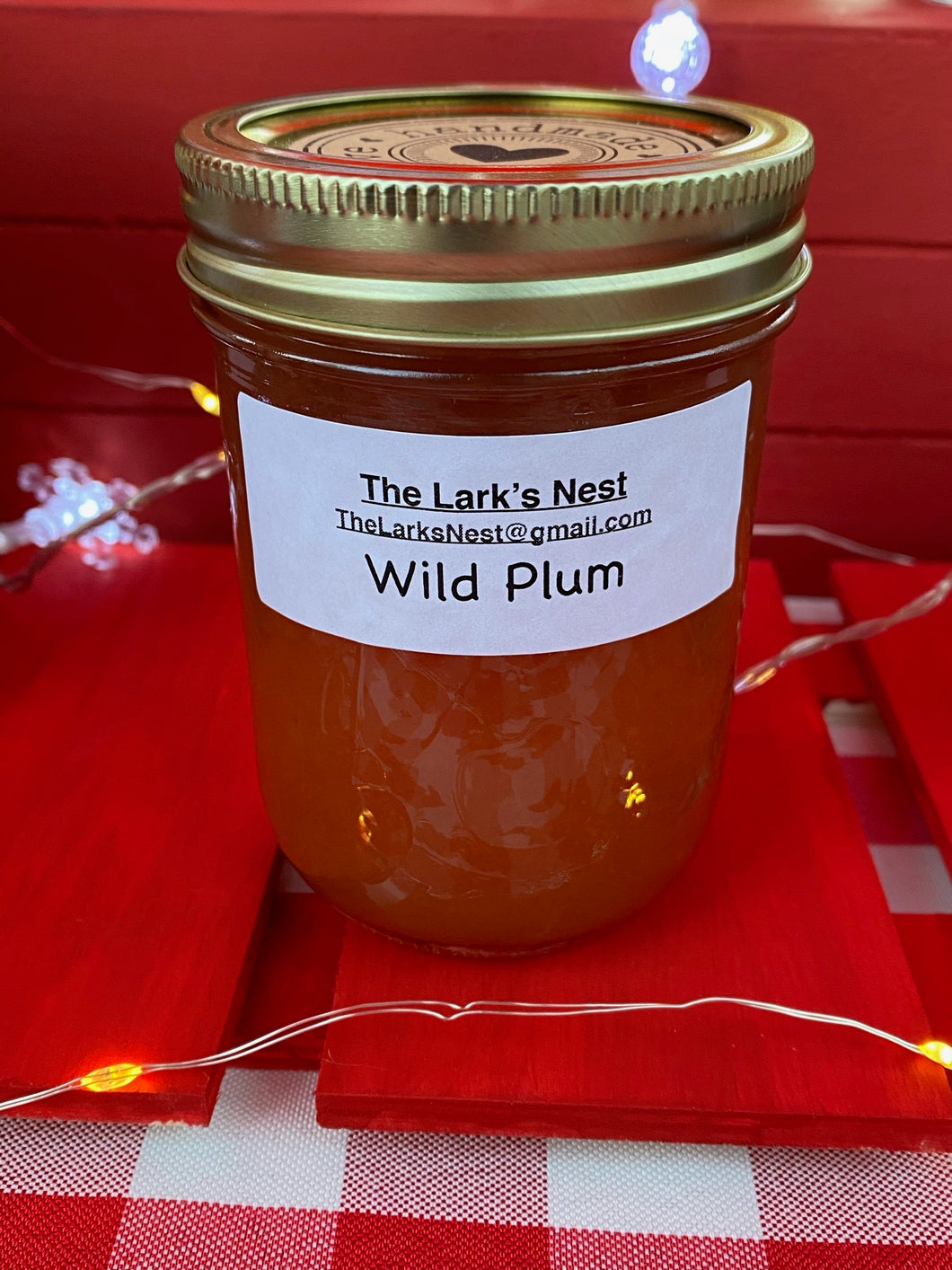 Wild Plum Jelly